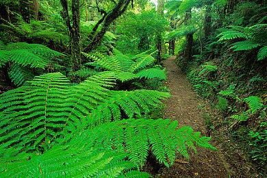 新里程碑 《人类一败涂地》全球销量突破5000万