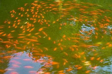 《真三国无双：起源》武将张角介绍 太平道教主风格大改